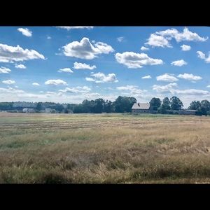 Meet your Posher, Nikola